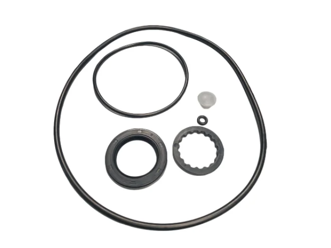 FAAC FAAC GENIUS 63003368 Kit Confezione Guarnizioni Per Motore Roller 770 Ricambio