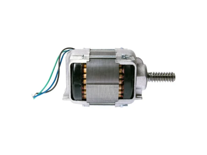 NICE NICE WGA05 Motore Elettrico Assemblato 220V 230V WINGO WG5000 WG4000 Ricambio