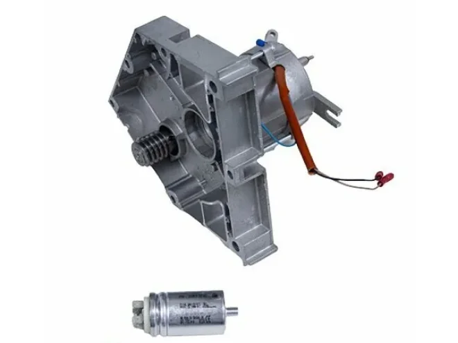 CAME CAME 119RID233 Gruppo Motore Elettrico Per FAST F7000 F7001 F7001E Ricambio