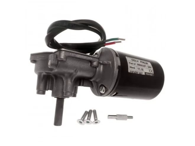 CAME CAME 119RIE129 Motoriduttore Motore Elettrico 24v Per VER V600 V800 Ricambio