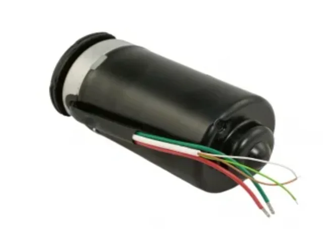 CAME CAME 119RIA065 Gruppo Motore Elettrico 24V Per Motore Frog-J Myto Ricambio