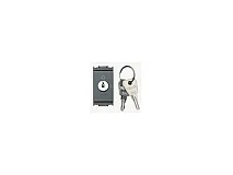 VIMAR Vimar 16165.CU Interr. 2P 16(3)A +chiave unific. grigio