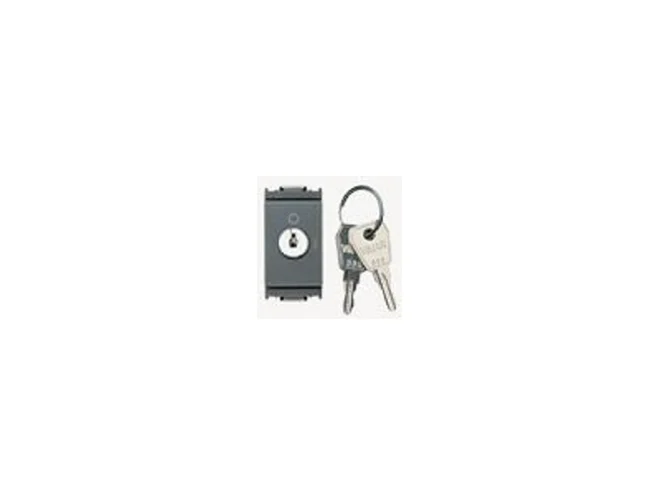 VIMAR Vimar 16165.CU Interr. 2P 16(3)A +chiave unific. grigio