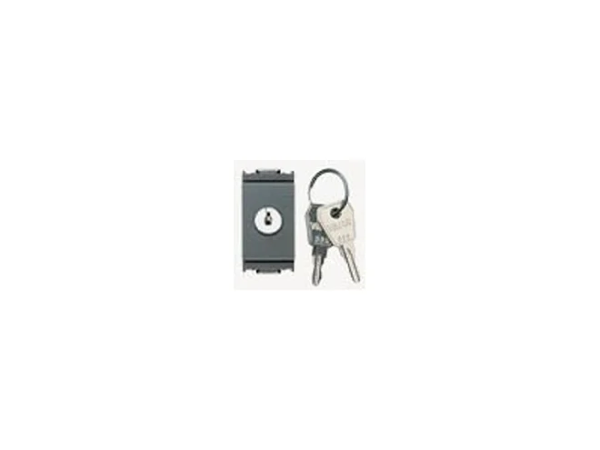 VIMAR Vimar 16180.CU Pulsante 1P NO 16A +chiave unif. grigio