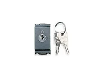 VIMAR Vimar 16185 Pulsante 2P NO 16A +chiave grigio