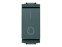 VIMAR Vimar 17007 Interruttore 2P 16AX grigio