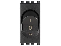 VIMAR Vimar 19405.06 Interruttore MT 1P+N C6 120-230V grigio