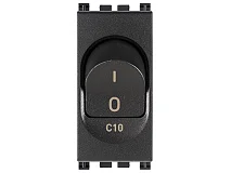 VIMAR Vimar 19405.10 Interruttore MT 1P+N C10 120-230V grigio
