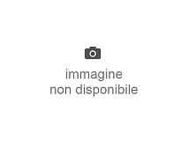 FAAC FAAC 7292035 Leva Attivazione Micro Per Selettore a Chiave T10 T11