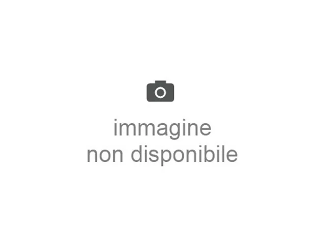 FAAC FAAC 7292035 Leva Attivazione Micro Per Selettore a Chiave T10 T11