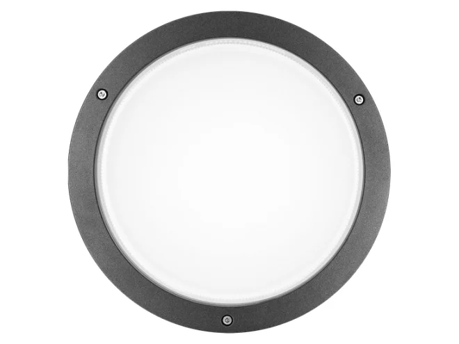 PERFORMANCE IN LIGHTING PERFORMANCE IN LIGHTING BLIZ ROUND 30 304243 Apparecchio illuminazione LED da parete e soffitto