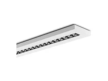 PERFORMANCE IN LIGHTING PERFORMANCE IN LIGHTING FLEXILED SM LV ASYM 3122044 Apparecchio illuminazione a plafone per interno