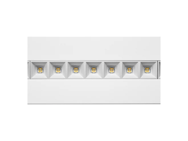 PERFORMANCE IN LIGHTING PERFORMANCE IN LIGHTING FLEXILED RE LV SILVER 3122229 Apparecchio illuminazione da incasso per interni