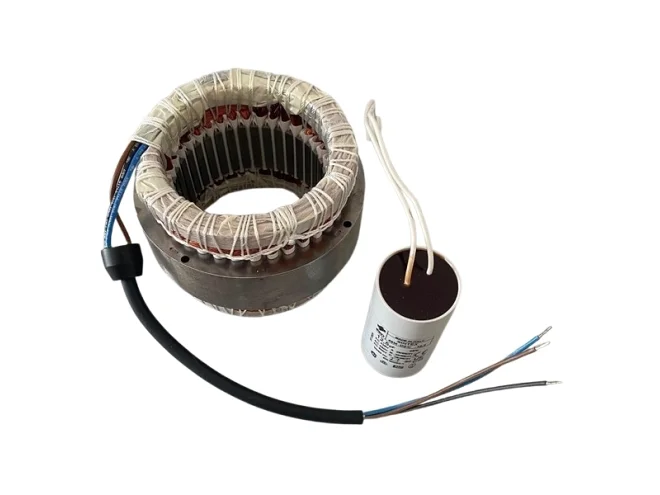 FAAC FAAC 63003470 Statore Elettrico Per Motore 746 230V Ricambio