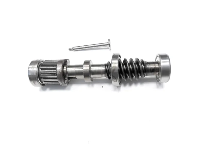 CAME CAME 119RIA067 Vite Senza Fine Seconda Riduzione Per Motore Frog-J Myto Ricambio