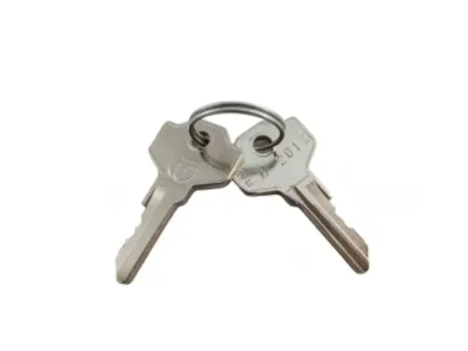 FAAC FAAC 713021 Coppia Chiavi Cifrate 201 Per Motore 770 N 770N Ricambio