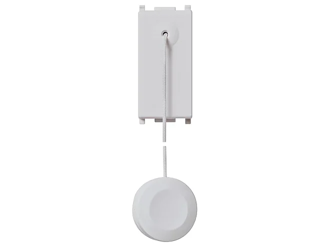 VIMAR Vimar 14052.SL Pulsante 1P NO 10A tirante Silver