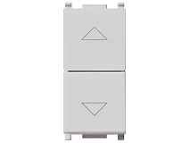 VIMAR Vimar 14060.SL Commutatore 2P 10AX a due tasti Silver