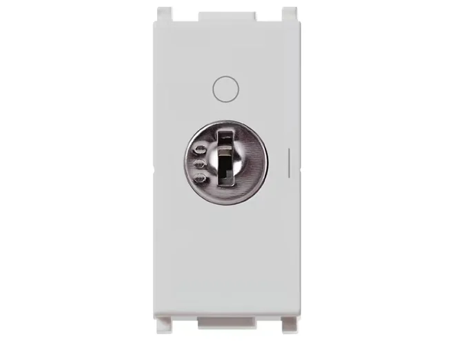 VIMAR Vimar 14083.CU.SL Interr. 2P 16(3)A +chiave unific. Silver