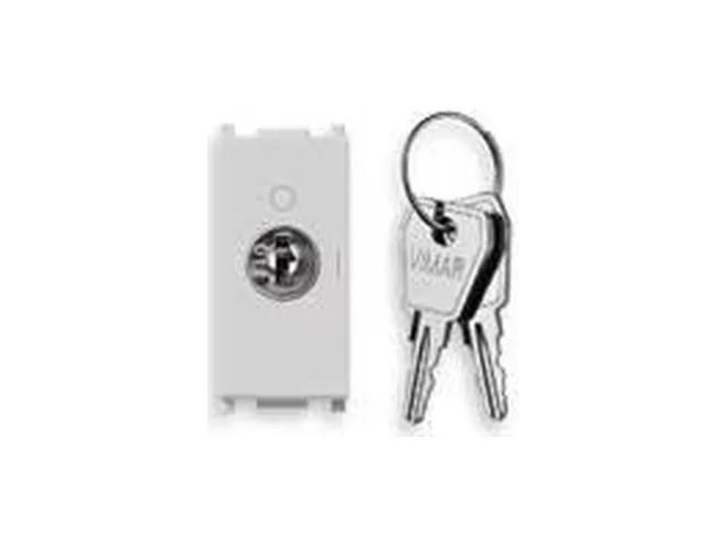 VIMAR Vimar 14083.S.CU.SL Interr.2P 16(3)A+chiave unif. OFF Silver