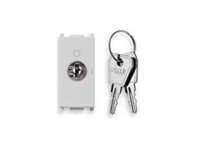 VIMAR Vimar 14087.CU.SL Pulsante 2P NO 16A +chiave unif. Silver