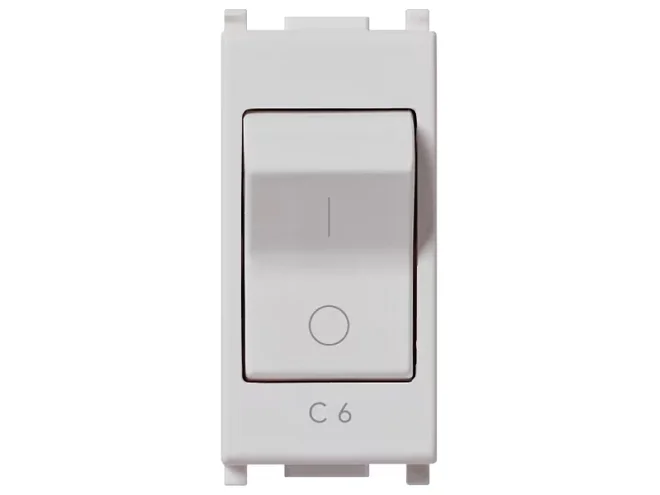 VIMAR Vimar 14405.06.SL Interruttore MT 1P+N C6 120-230V Silver