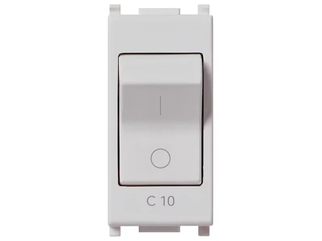 VIMAR Vimar 14405.10.SL Interruttore MT 1P+N C10 120-230V Silver