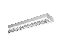 PERFORMANCE IN LIGHTING PERFORMANCE IN LIGHTING 3100343 RONDA+ RT T8 LED 1x1,5M 230V