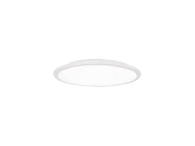 PERFORMANCE IN LIGHTING PERFORMANCE IN LIGHTING 8333691253300 FL333LED SMC 24 S/B 830 WH9016 OP