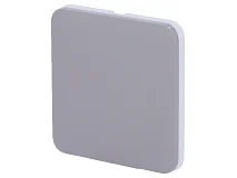 Ajax Ajax 52142.144.GR Tasto singolo per LightSwitch 1-gang / 2-way Grigio