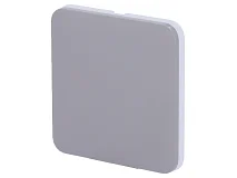 Ajax Ajax 52150.144.GR Tasto singolo per LightSwitch 2-gang Grigio