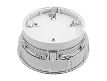 Notifier Notifier BGL-PC-I02 DB STROBE EN54-23 C-CAT