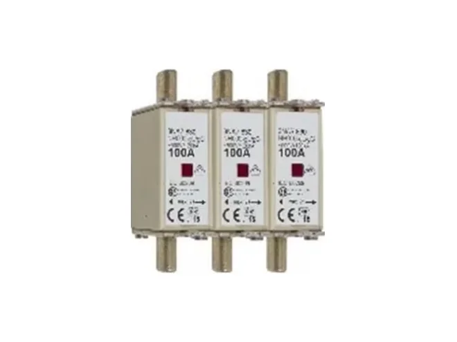 Notifier Notifier 584151 100A FUSE FOR PSU 24V - 2/4