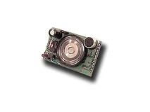 IESS IESS ETRVOICE Sintesi vocale per serie ETR