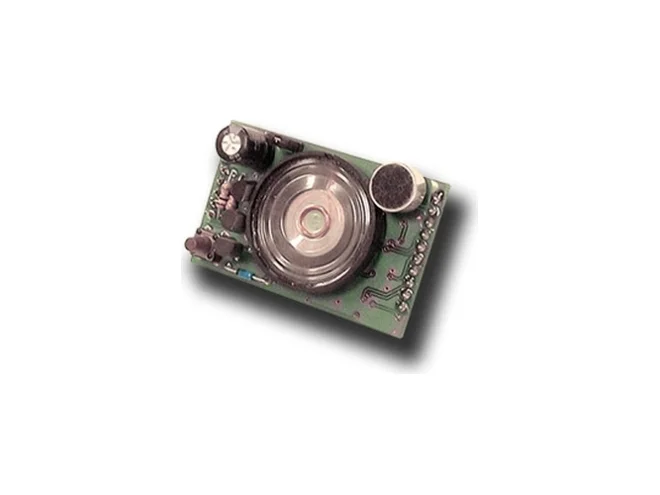 IESS IESS ETRVOICE Sintesi vocale per serie ETR