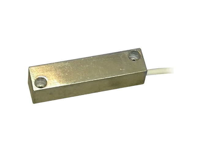 IESS IESS K107CI Inerziale sismico IP67 con reed NC (2pz)