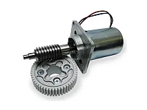 NICE NICE SPAMG00200 Gruppo Motore Elettrico 24V ROBUS 350 400 Ricambio