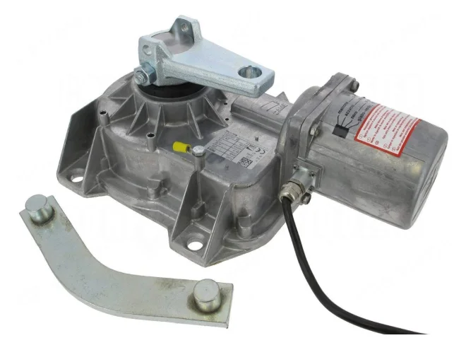 CAME CAME 001FROG-A FROG-A Motore Attuatore Interrato 230v Per Cancello Anta Battente