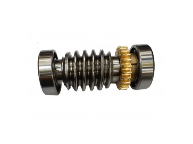 CAME CAME 119RIA016 Vite Senza Fine Cuscinetto Per Motore FROG Interrato Ricambio