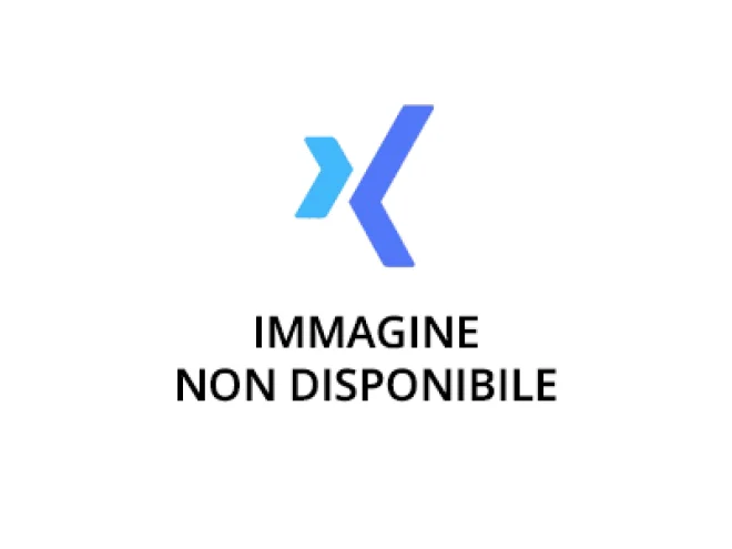 BFT Sp Riduzione Deimos BFT Ricambio Originale I098415 2609250